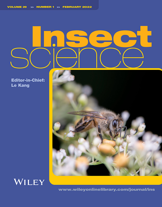 Unleashing the Wonders of Science – An Insect Science Kit for Curious Minds